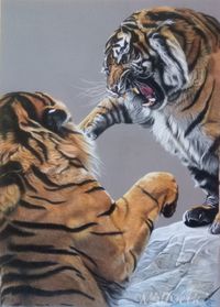 Tiger+WZ